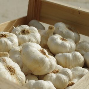 Ail bio local wakama