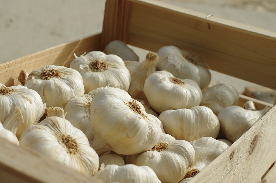 Ail bio local